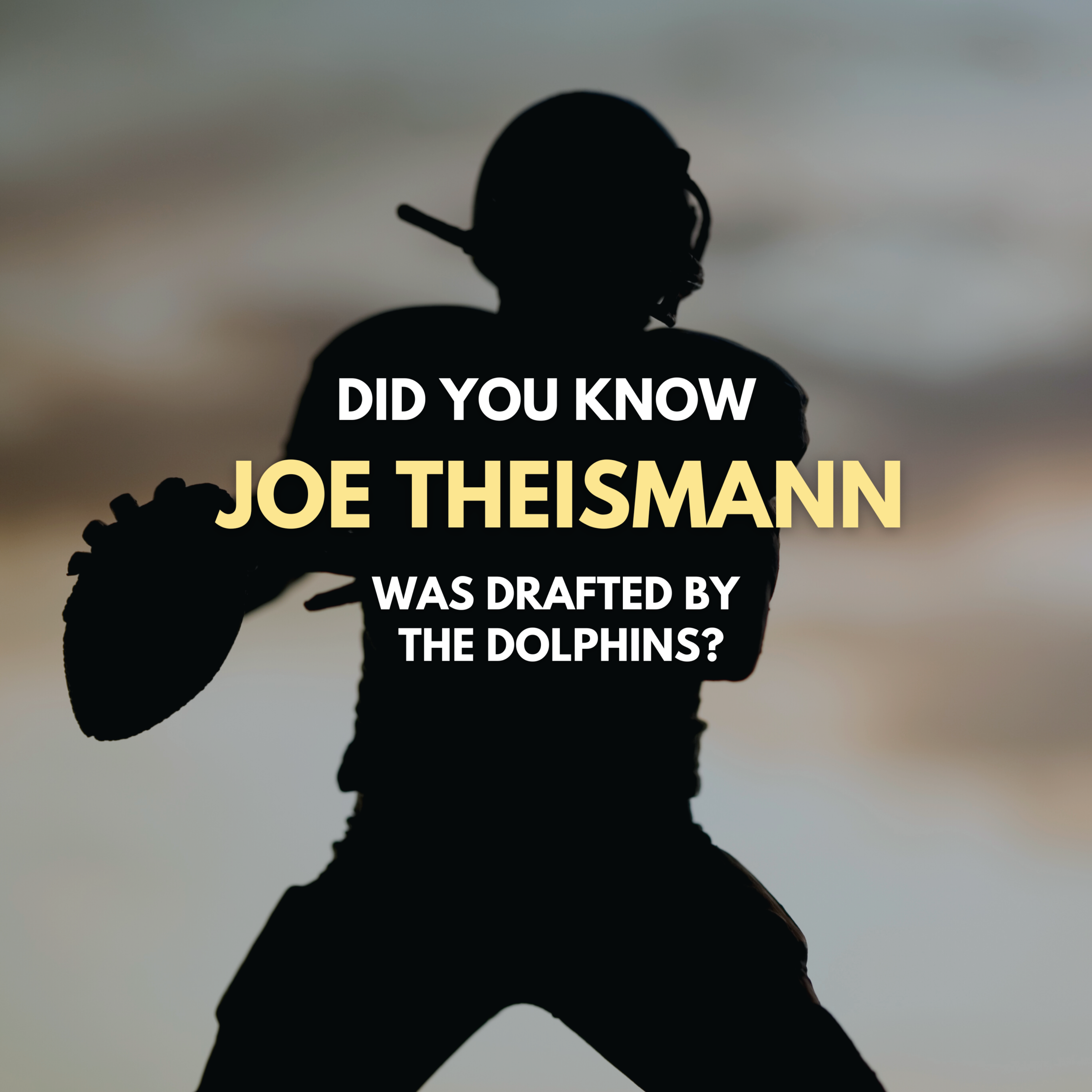 Joe Theismann Facts & Stats